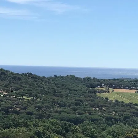 La D'andrea Ramatuelle