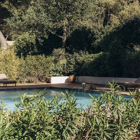 La D'andrea Hotel 3*